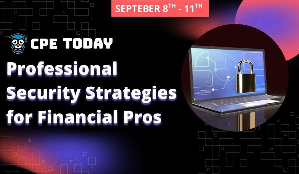 Professional Security Strategies for Financial Pros
